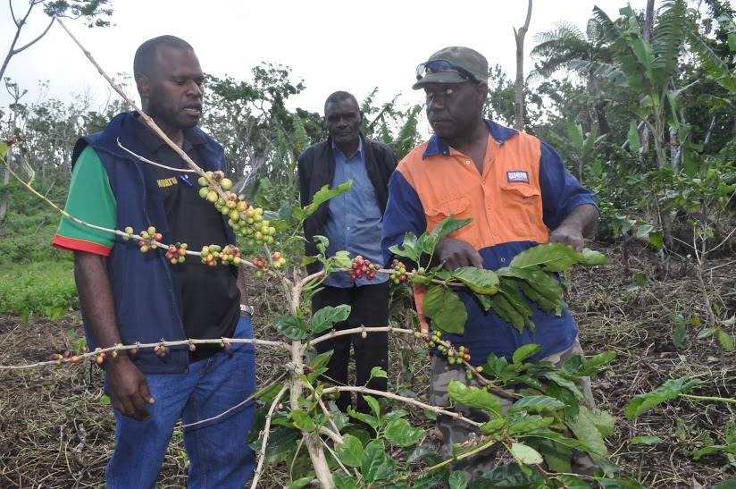 Youth in organic agriculture in Vanuatu Sustainable Development Goals