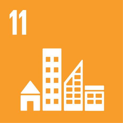SDG goal 11 cities