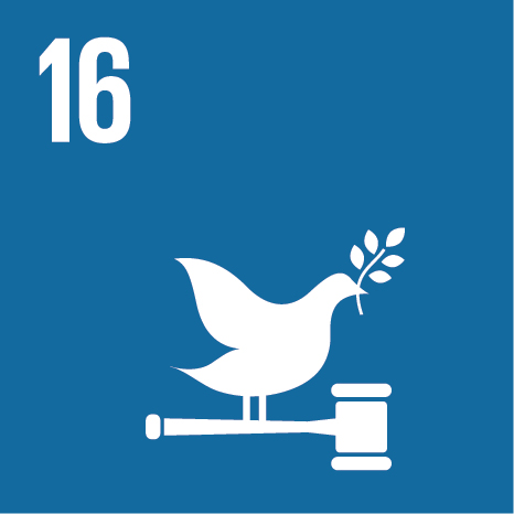 Goal 16: Peace, justice and strong institutions