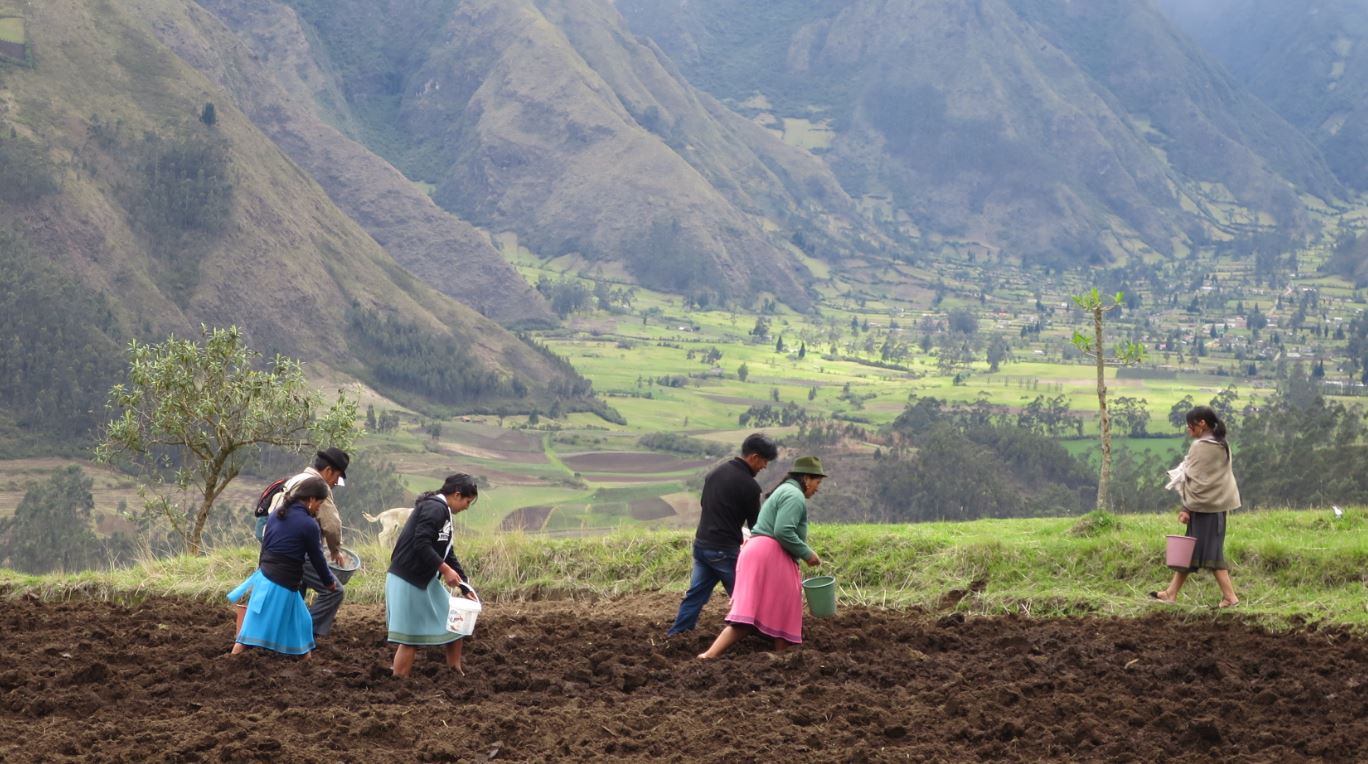 SDG Fund starts winding down Sustainable Development Goals Fund